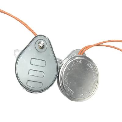 Multistepped Geared Bidirectional  Synchronous Motor