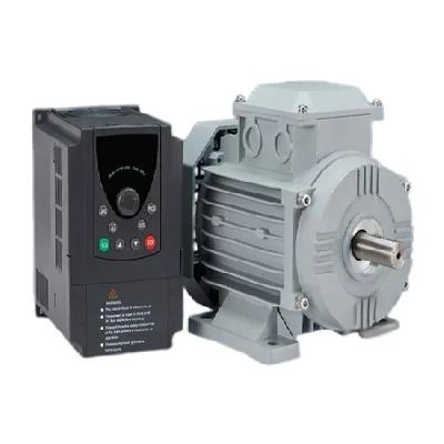 Permanent Magnet Synchronous Motors
