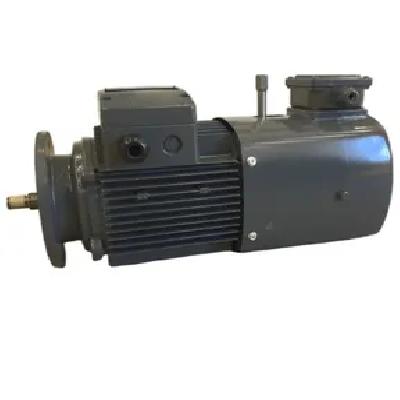 Reversible Spur Geared Synchronous Motor
