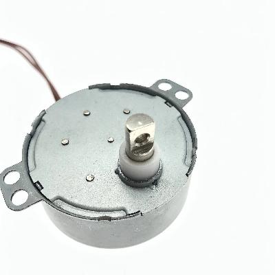 Spur Geared Reversible Synchronous Motor