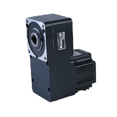 Synchronous Motor With Spur Reduction Gearhead