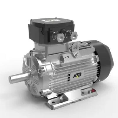 Synchronous Motors