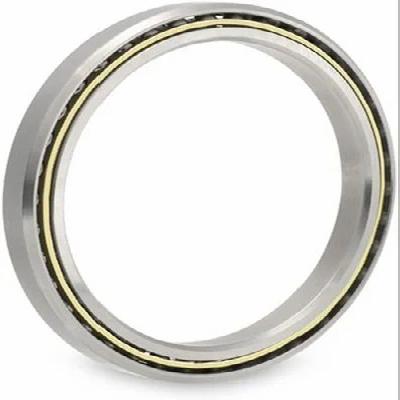 Kaydon Type Bearing
