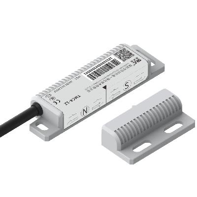 Magnetic Reed Switch