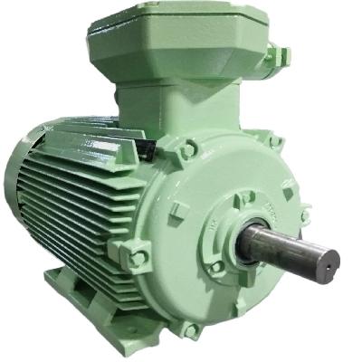 Electric Flame Proof Motor