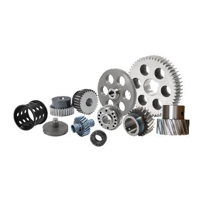 Stainless Steel Worm Gear Wheel