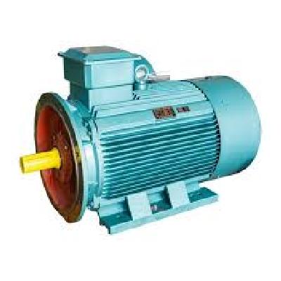 Three Phase Crane Duty Motor