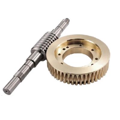 Worm Wheel and Worm Shaft