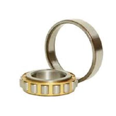 Double Row Roller Bearing