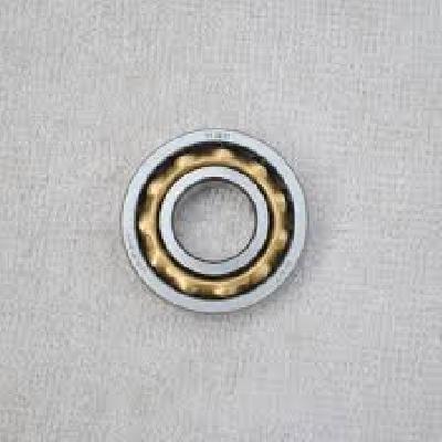 Magneto Bearing