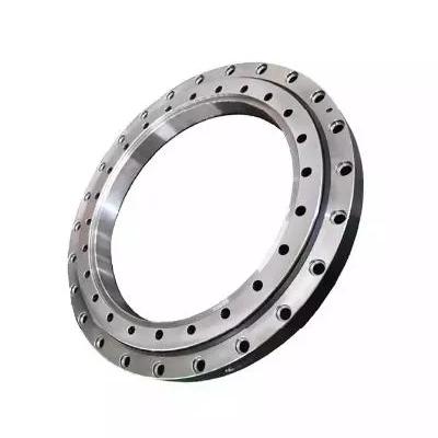 Slewing Ring Bearing
