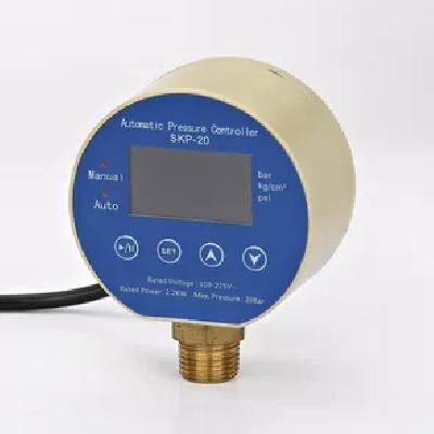 Pressure Switches  DL