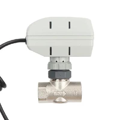 Motorized Actuator Globe Control Valve