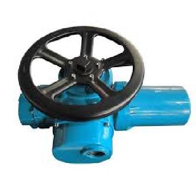Motorized Gate Valve