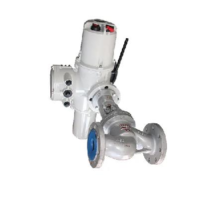 Motorized Globe Valve