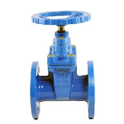 Sluice Valve
