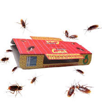Cockroach Trap