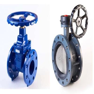 Gate and Butterfly Valves