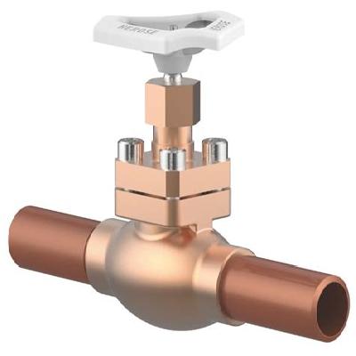 Cryogenic Globe Valve