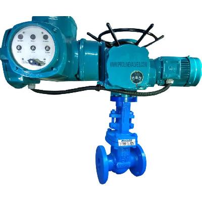 Motorized Gate Valve