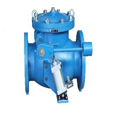 Swing Check Valve