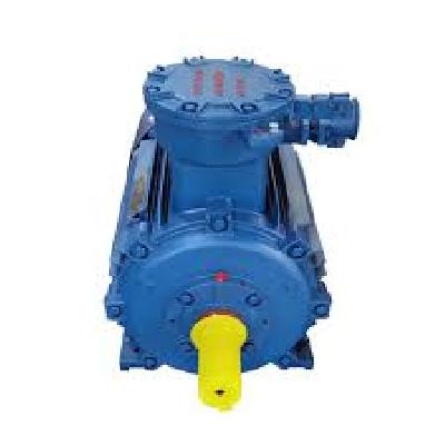 Flame Proof Motor