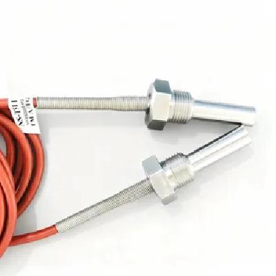 RTD Sensor