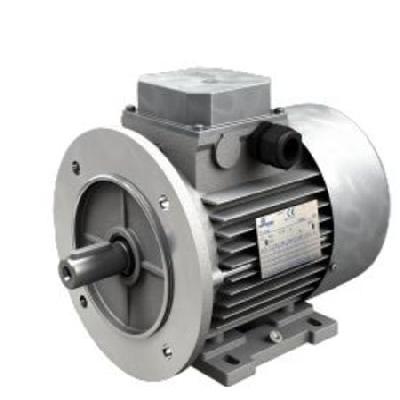 Motovario Electric Motor- TS/TH/TP/TBS/TBH/TBP Series 