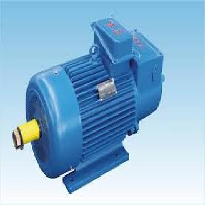 Crane S4 Duty Motor