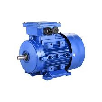 Crompton Greaves Electric Motor