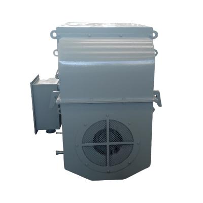 TMEIC High Voltage Electric Motor