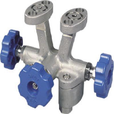 Fuji Equalizing Valve Oval Flange