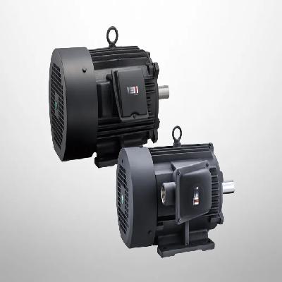 Fuji MLK1085M 200 V Class Low-Voltage Three-Phase Induction Motor