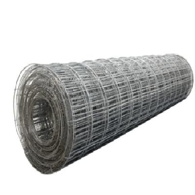 Wire Mesh Roll
