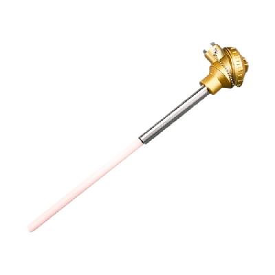 Type S Thermocouple
