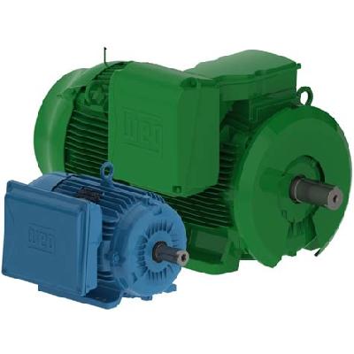 Allen Bradley CM111 Severe Duty Industrial Motor