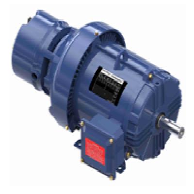 Allen Bradley CM220 Totally Enclosed Industrial Motor