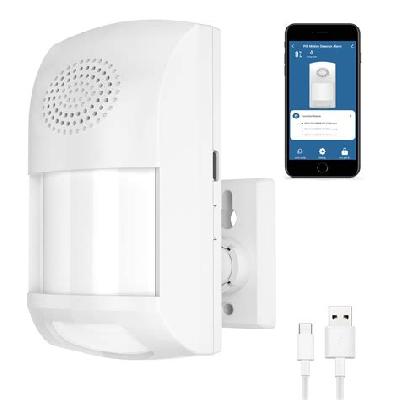 Motion Sensor