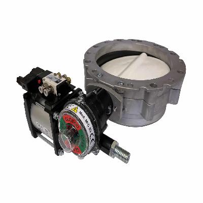 WAM Penumatic Valve