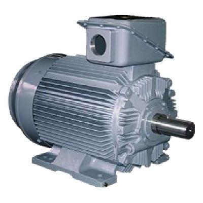TMEIC 21-G Induction Motor