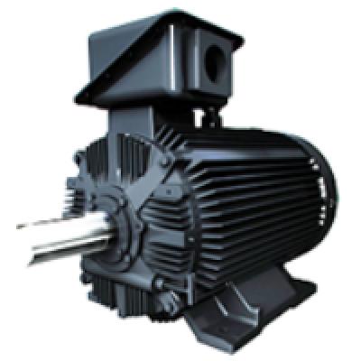 TMEIC 21-H Induction Motor
