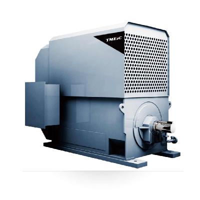 TMEIC 21-L Series Vertical Motor