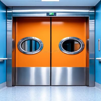 Stainless Steel Automatic Elevator Door