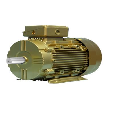 SPDP Slip Ring Motor