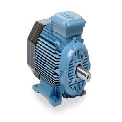 General performance motor
