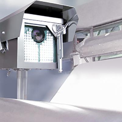 Graphical Paper Inspection