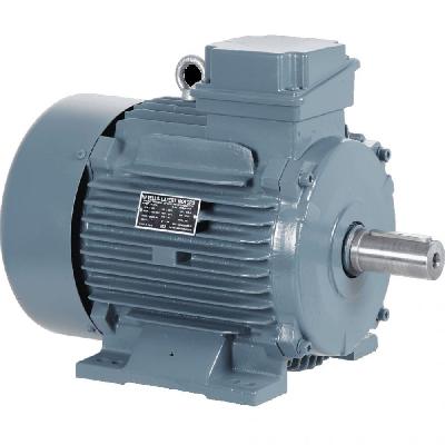 Havells 3 Phase Induction Motor