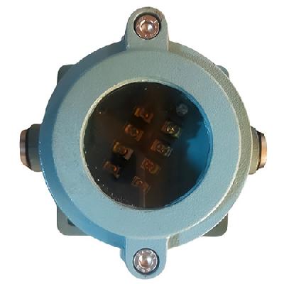 Flameproof Temprature Current Indicator