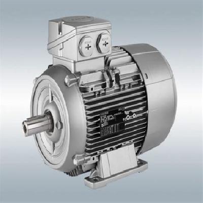 Low Voltage Motors