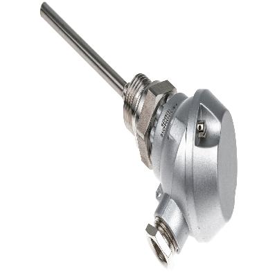 PT100 Sensor